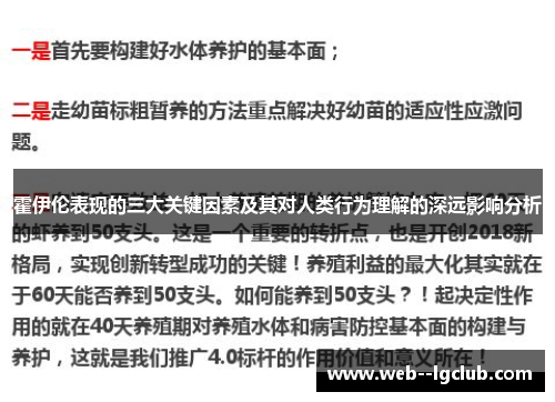 霍伊伦表现的三大关键因素及其对人类行为理解的深远影响分析