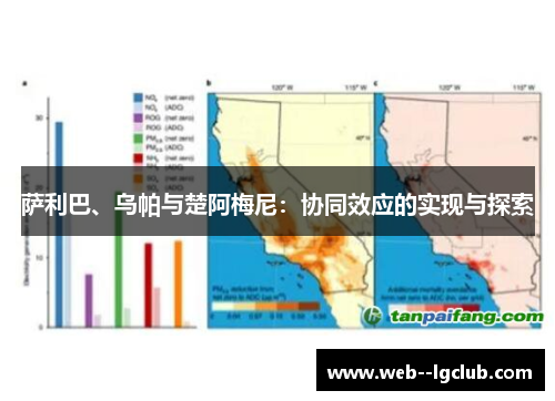 萨利巴、乌帕与楚阿梅尼：协同效应的实现与探索
