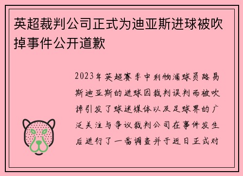 英超裁判公司正式为迪亚斯进球被吹掉事件公开道歉