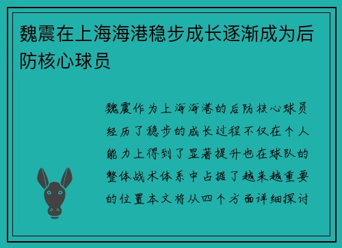 魏震在上海海港稳步成长逐渐成为后防核心球员
