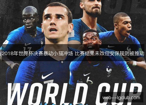 2018年世界杯决赛暴动小猫冲场 比赛结果未改但安保规则被推动 2018年世界杯决赛暴动小猫冲场 比赛结果未改但安保规则被推动